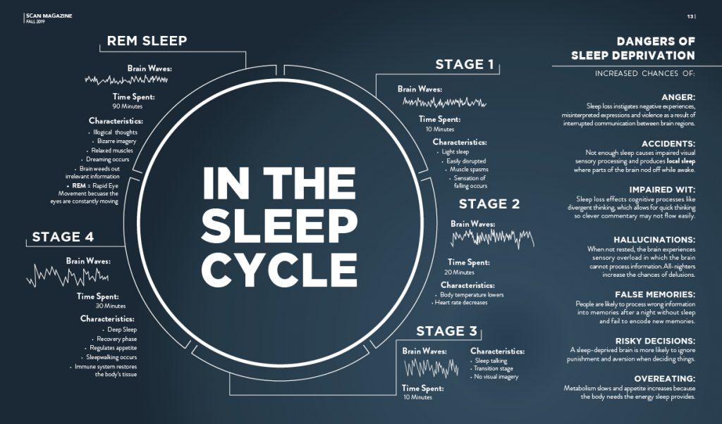 Infographic: Into The Sleep Cycle – SCAN