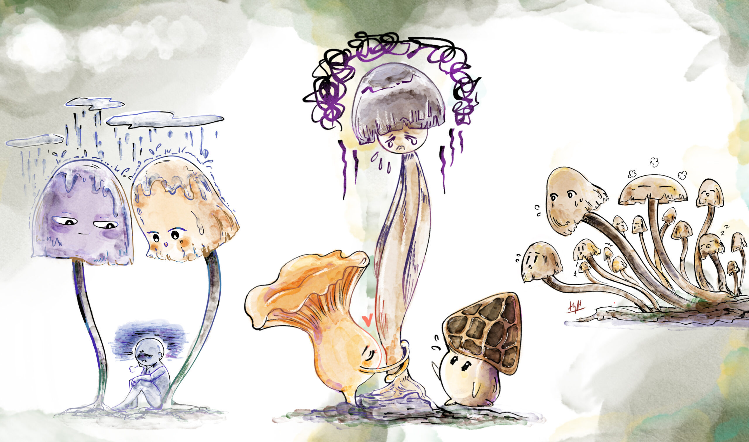 Could Mushrooms Be the Answer to Depression?